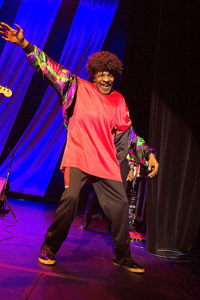 Sly Stone in later years; a rare appearance with The Family Stone during Hippiefest 2015 at Count Basie Theater on August 23, 2015 in Red Bank, New Jersey. Photo by Mark Weiss/Getty Images.