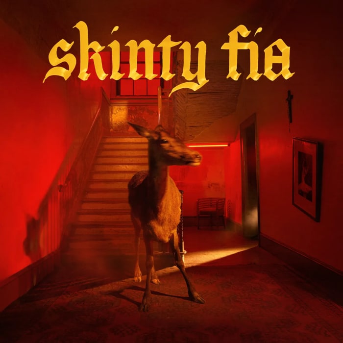 Fontaines D.C., Skinty Fia 