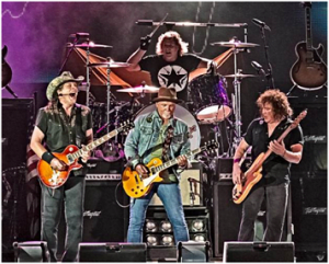 Ted Nugent onstage
