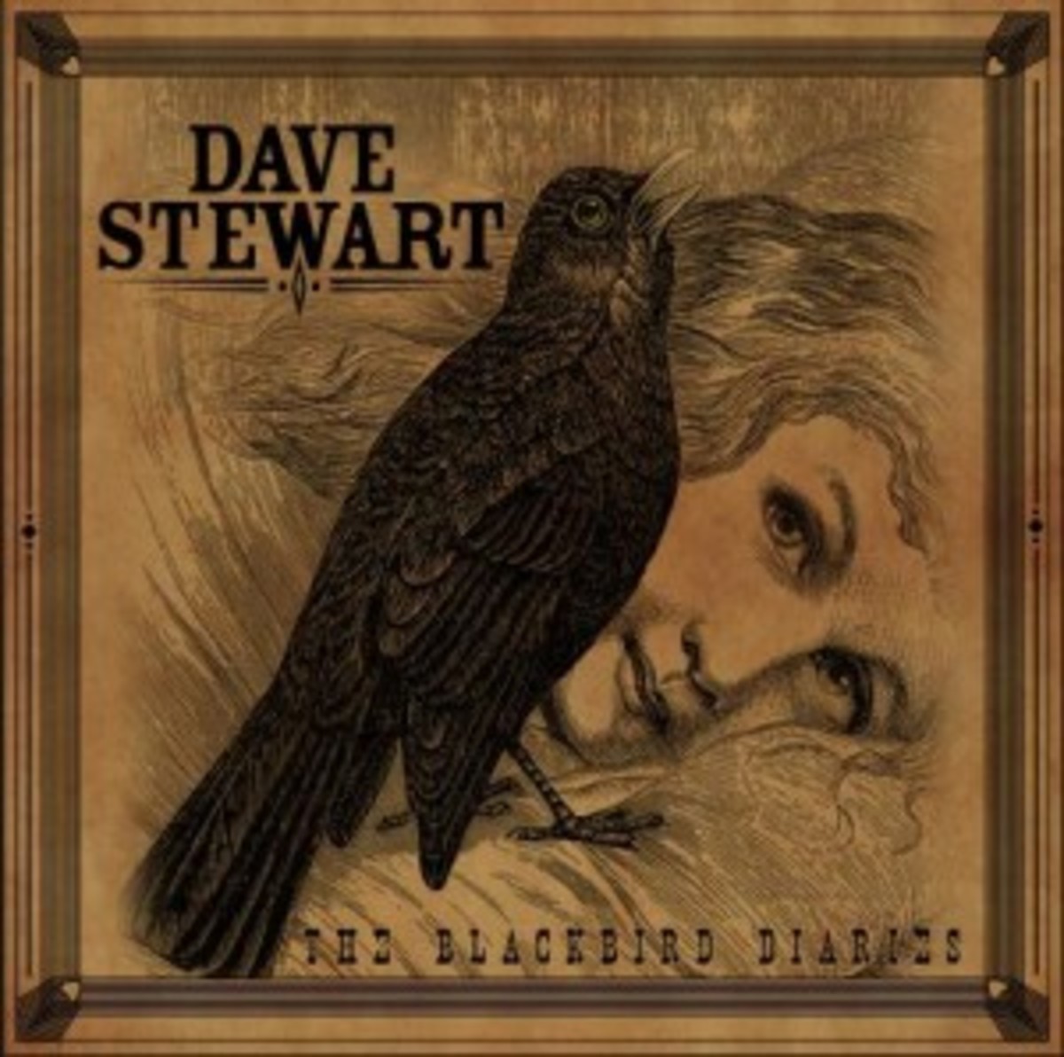 Dave Stewart_The Blackbird Diaries