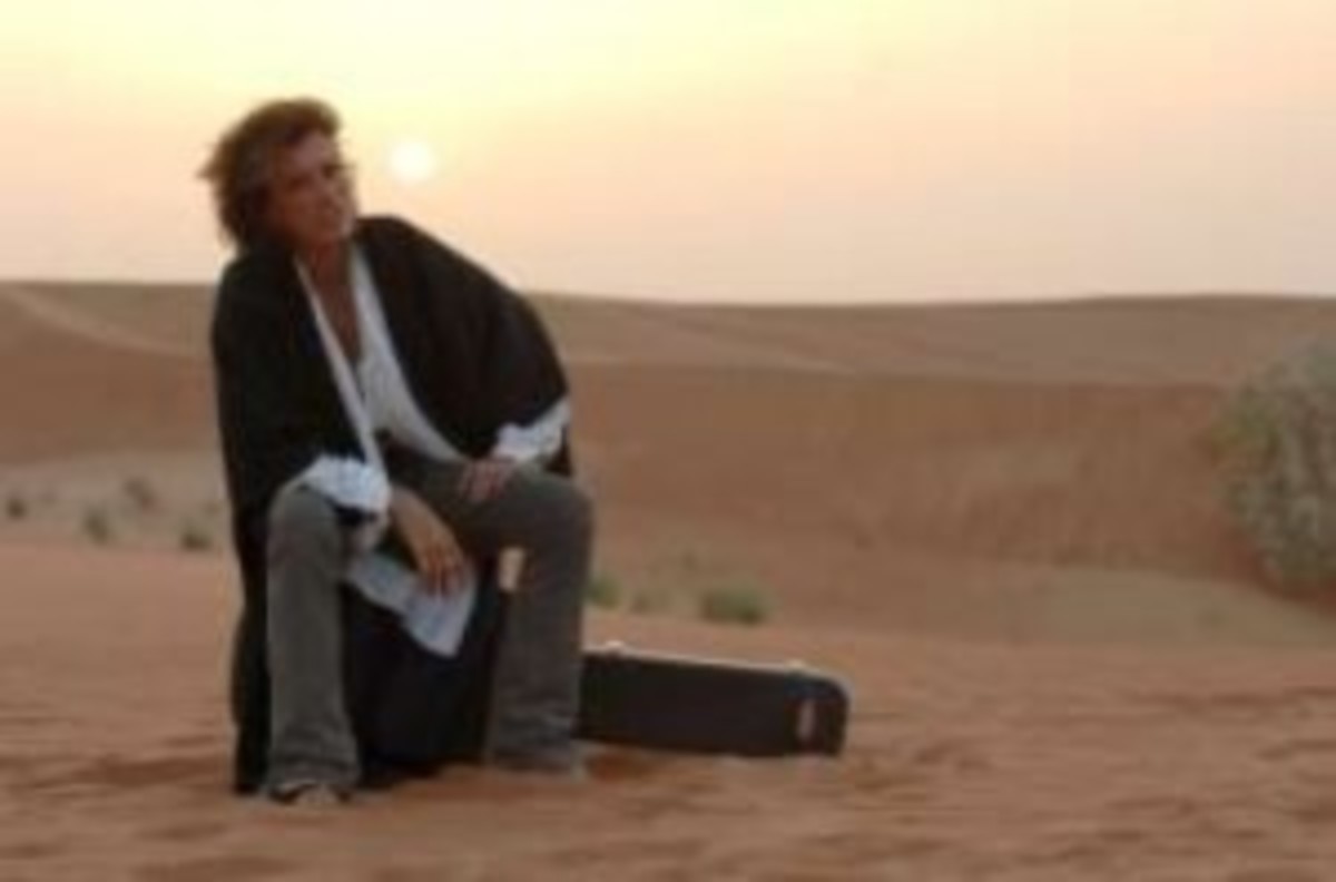 Joe Perry color on guitar case in desert