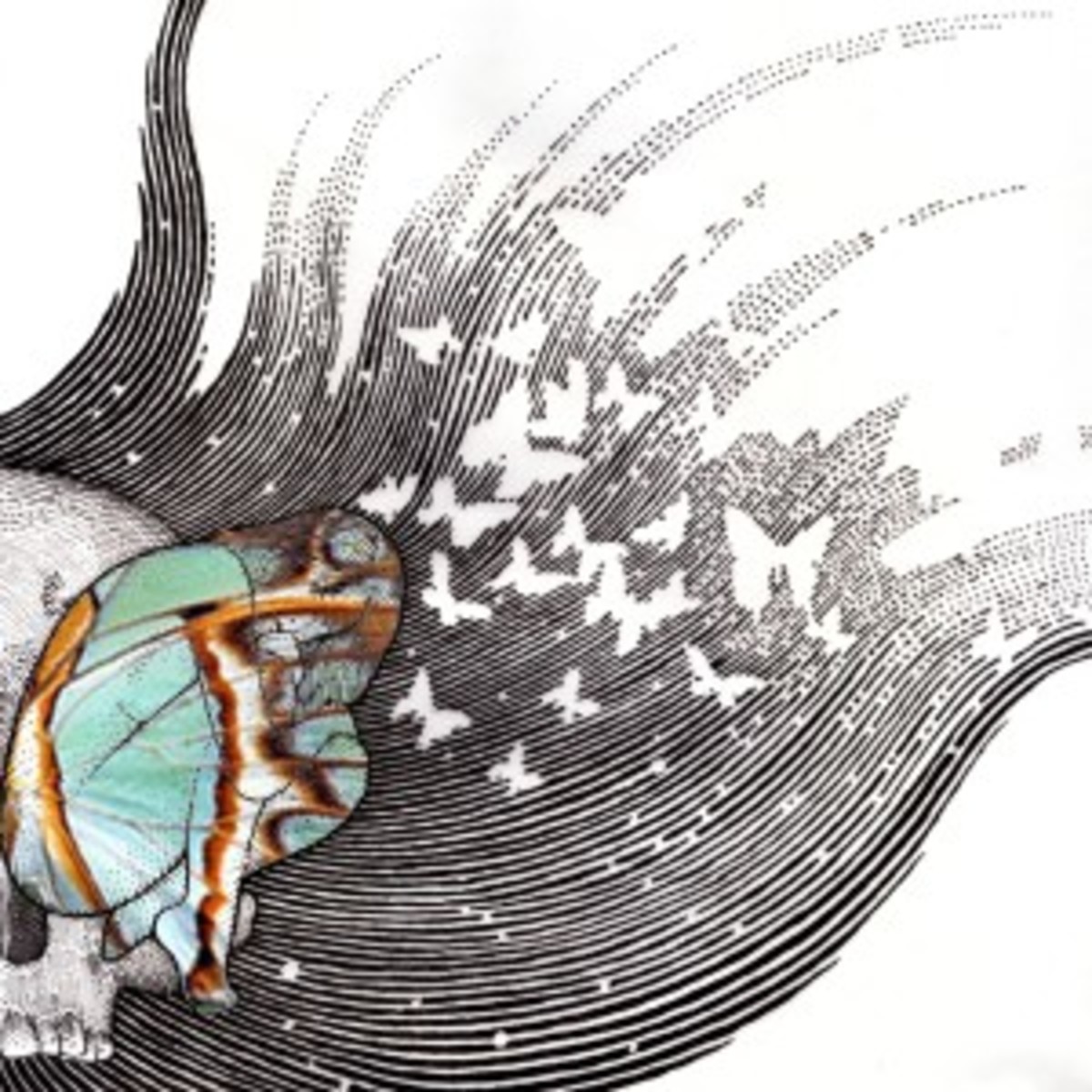 Butterfly-Revolutions-Vol-2-Cover-Art-Final-copy