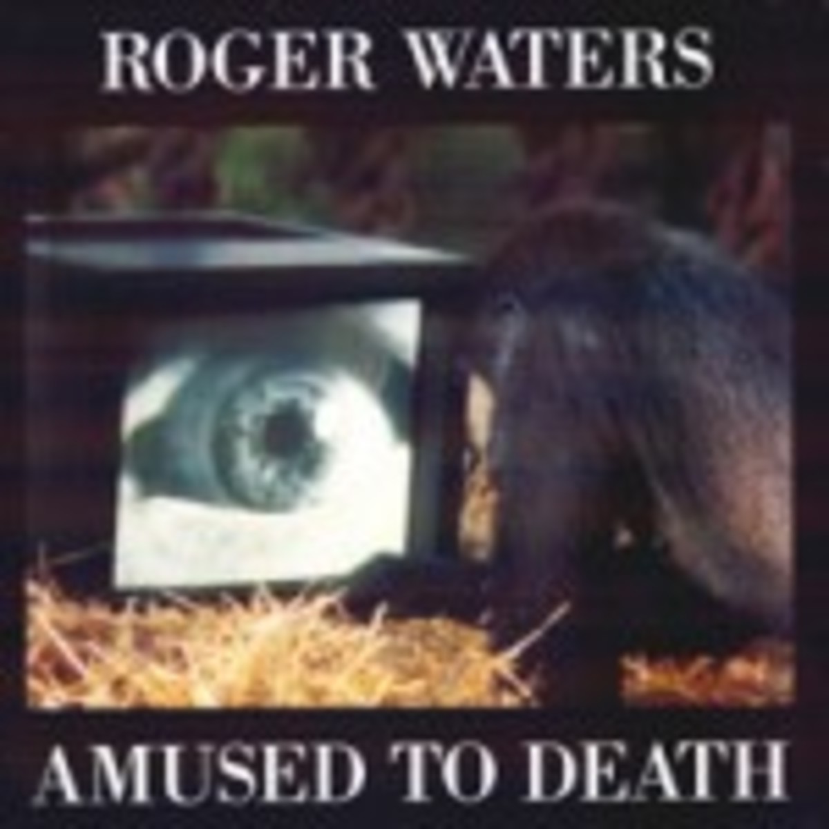 Roger Waters Amused to Death