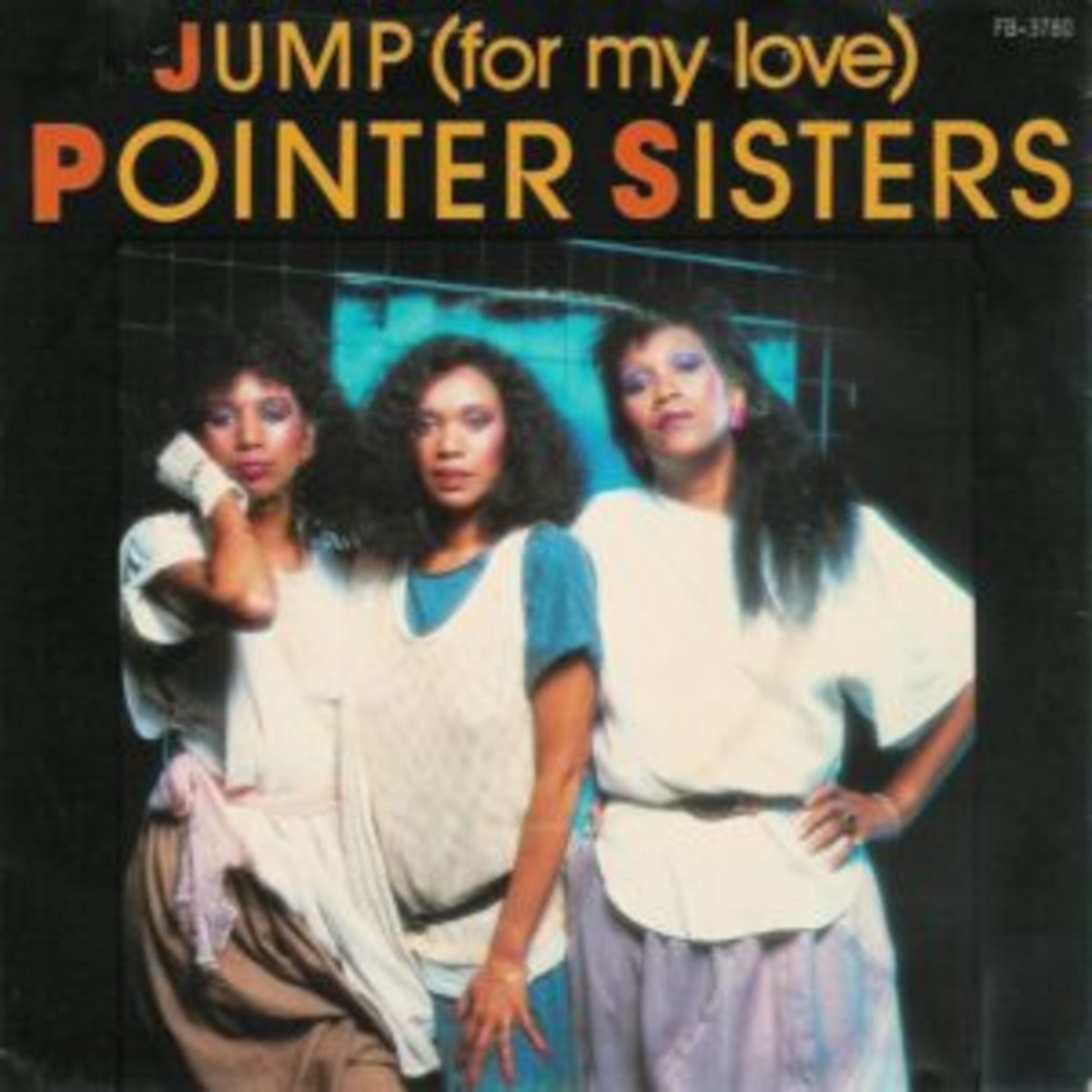 Nice-Looking Pointer Sisters