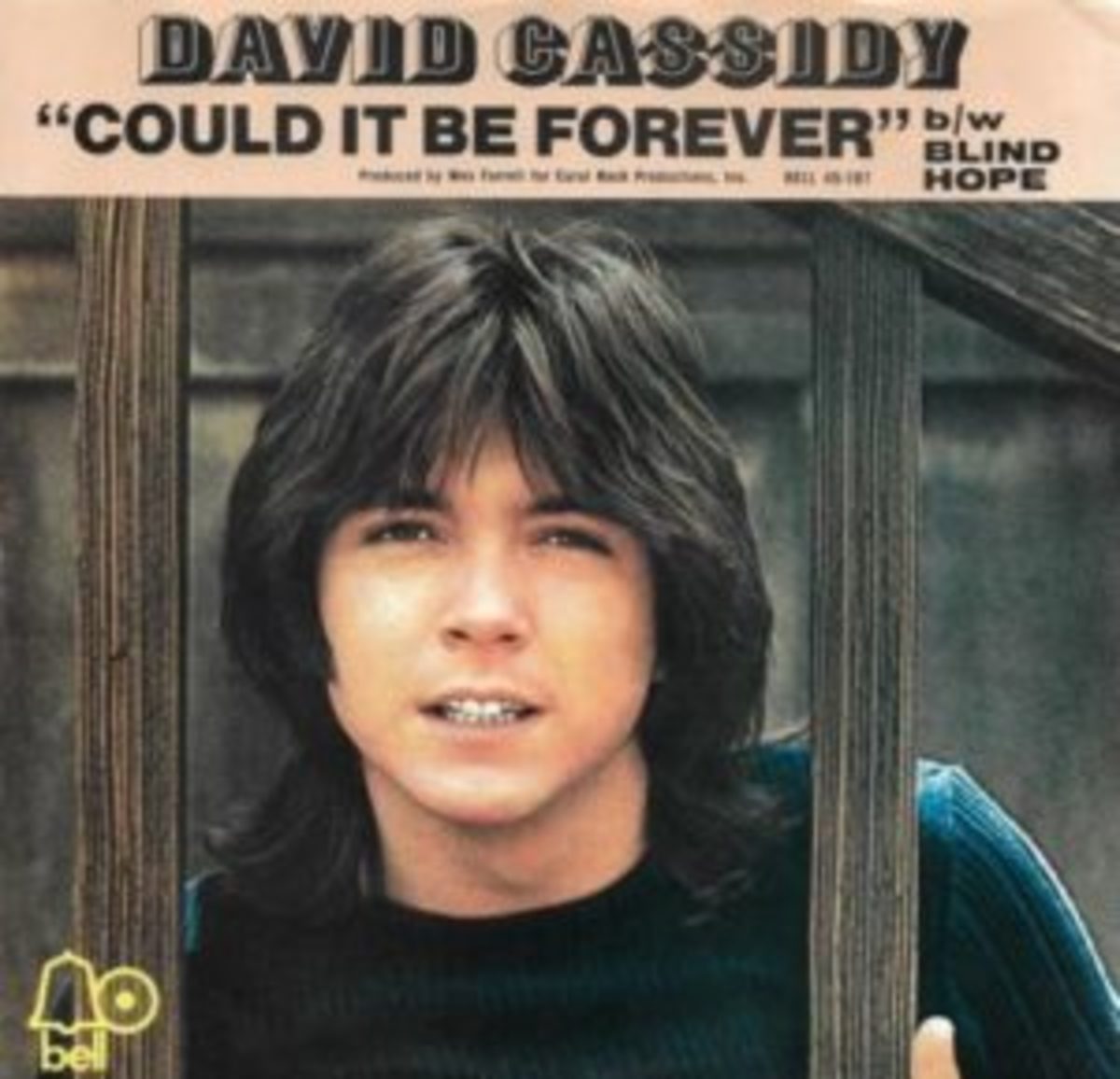 Fabulous Flip Sides In Memoriam – David Cassidy - Goldmine