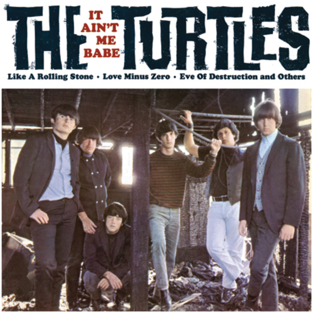 The Turtles