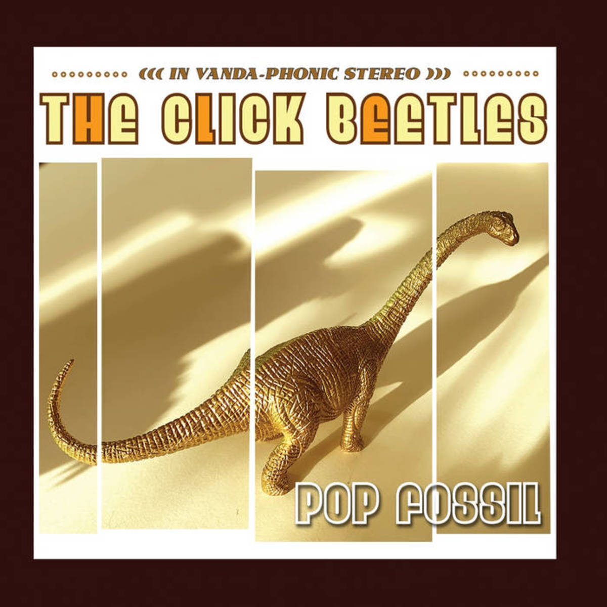click beetles