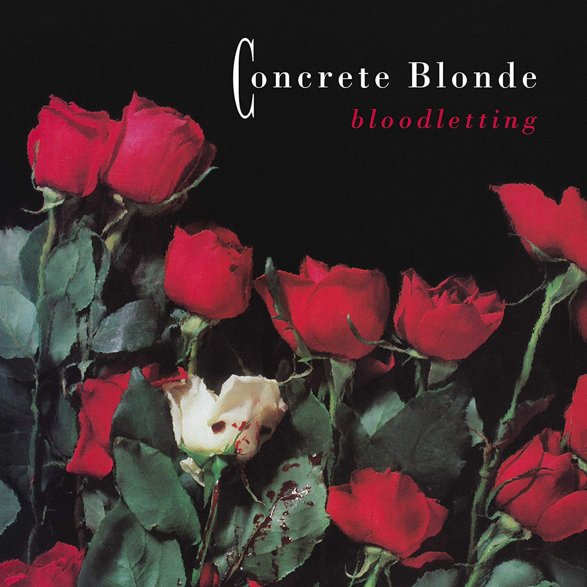 Concrete Blonde Bloodletting