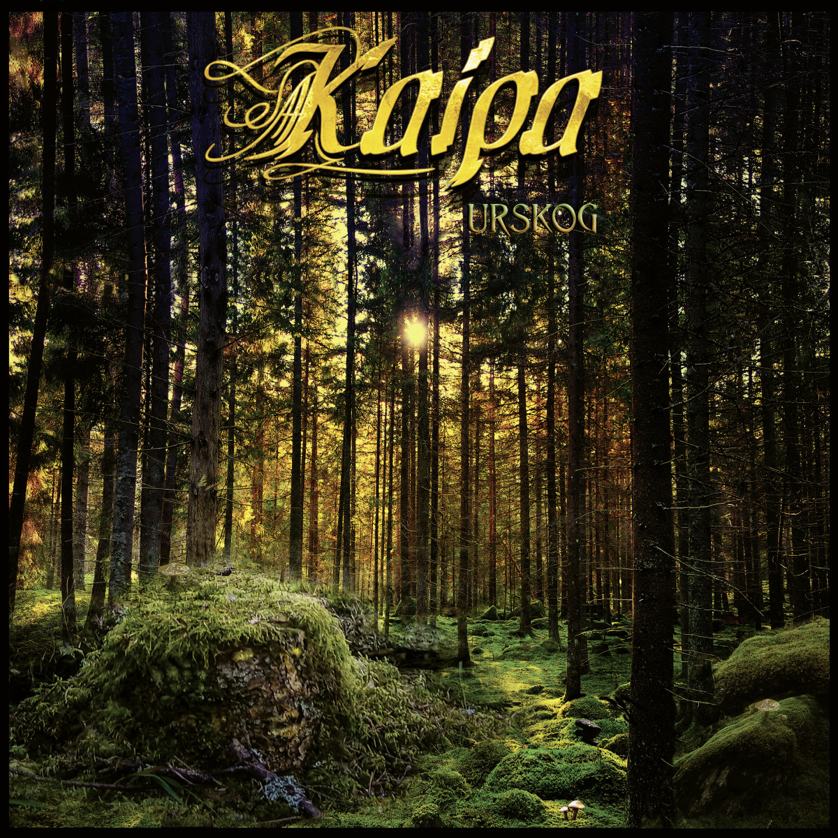Kaipa Urskog Cover