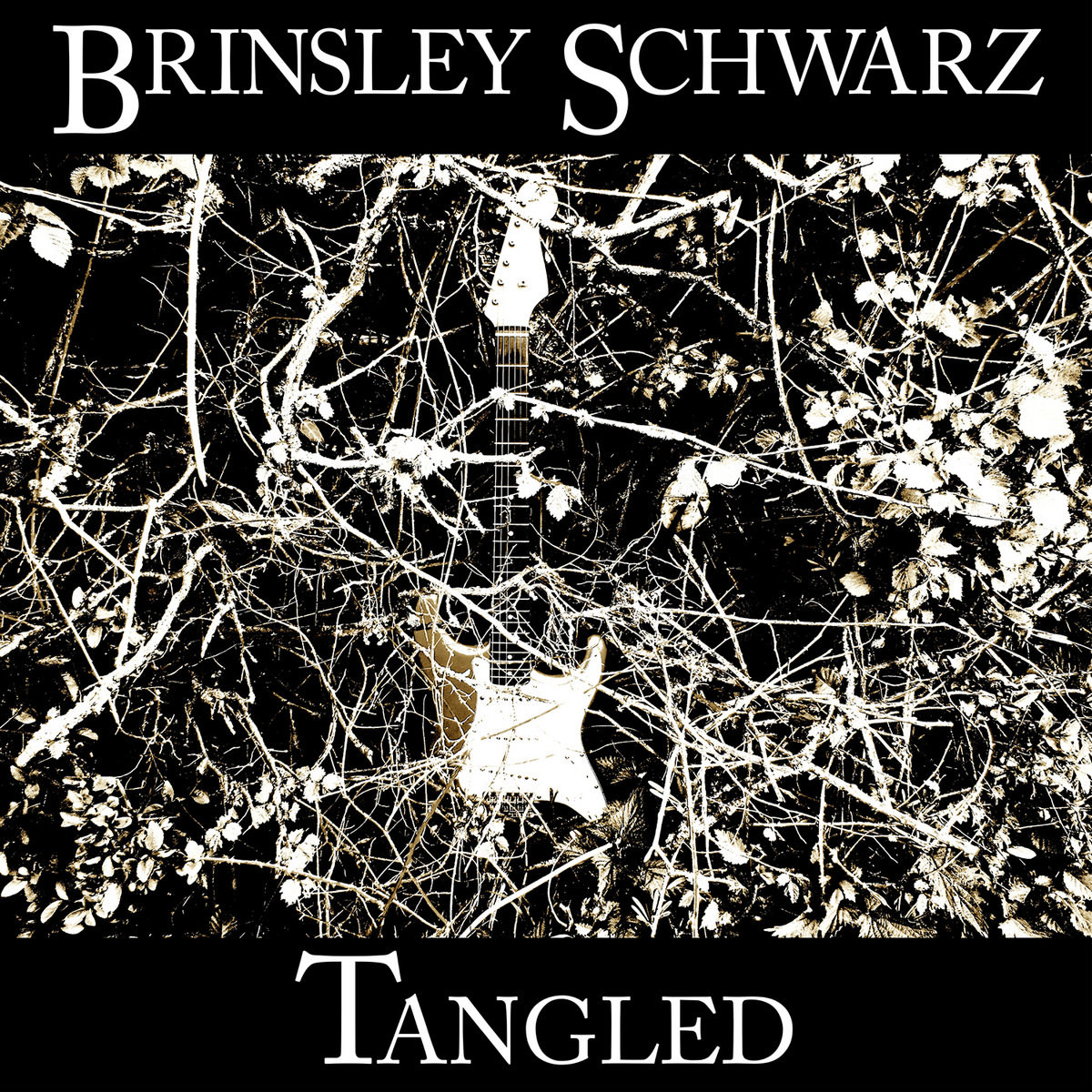 Brinsley schwarz tangled lp